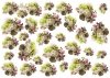 papel decoupage clásico D0104M